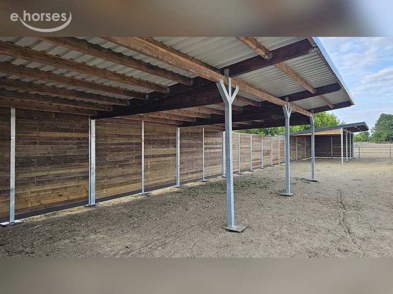 Paardenloopstal kopen – open stal bouwen, weideschuilstal zoeken, paardenschuilstal bestellen