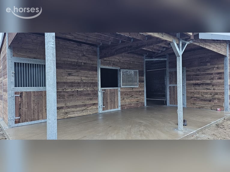 Paardenstal bouwen & stallenbouw – hoogwaardige buitenstallen van de fabrikant