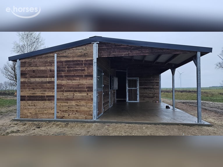 Paardenstal bouwen & stallenbouw – hoogwaardige buitenstallen van de fabrikant