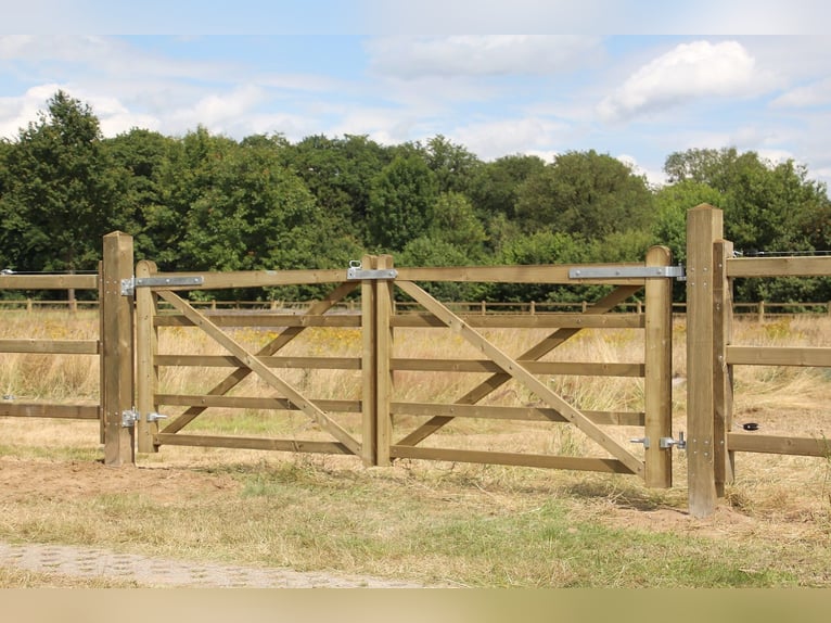 Poort voor tuin | Poorten voor erf | Tuinhekpoort
