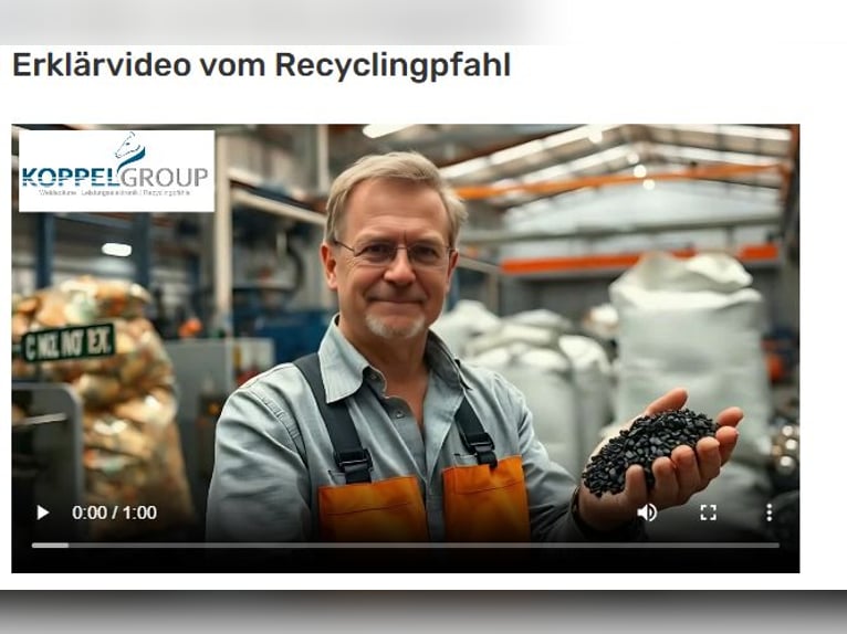 Recyclingpfähle, 10 x 230 cm, Zaunpfähle, Koppelpfosten, Freihaus