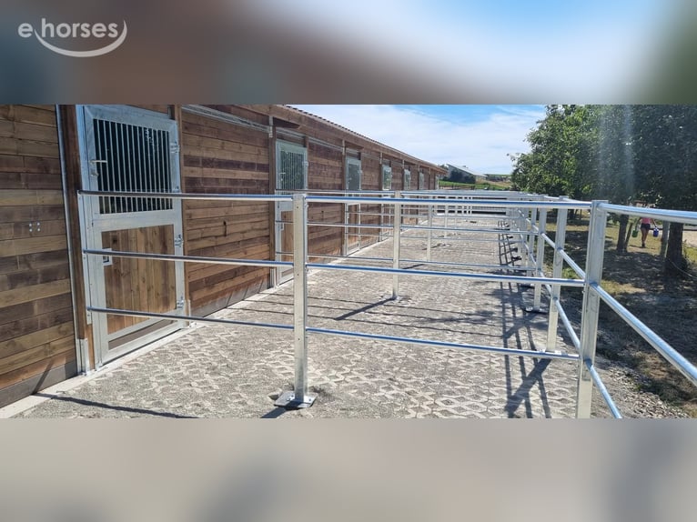 Stalbouw & paardenstallen – buitenstallen en paardenboxen kopen & paardenonderkomens