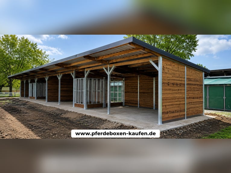 Weidehut en open stal kopen, paardenstal | Weideverblijf Ideaal voor uw paarden