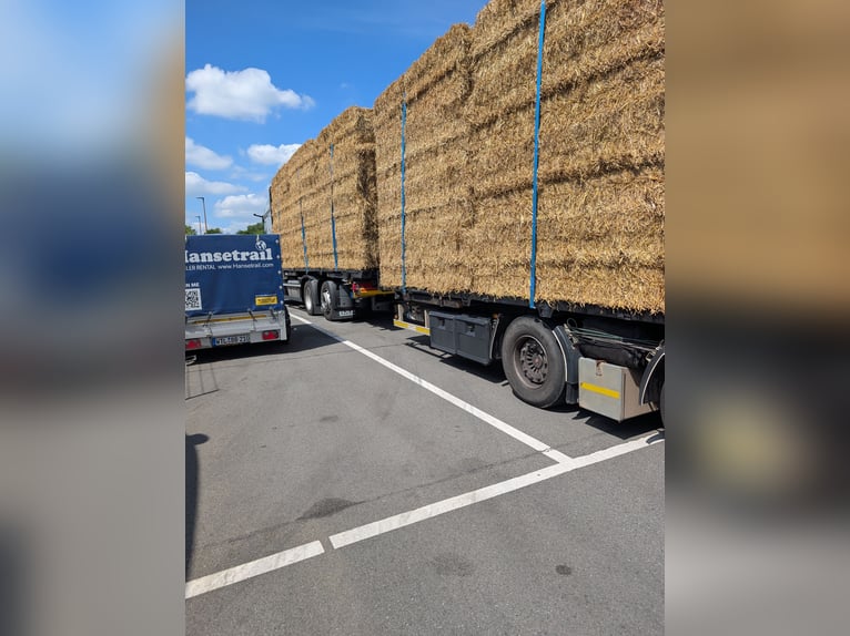 Tarwestro te koop