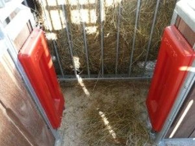 Actiefstal met 2 rijhallen, paddockboxen