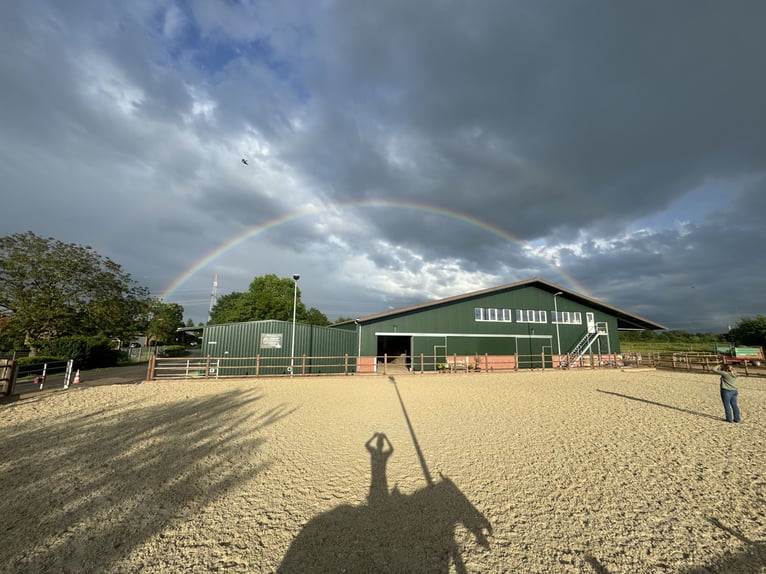Moderne manege met 2 actieve stalplaatsen en 1 loopstal voor 3 paarden vrij!