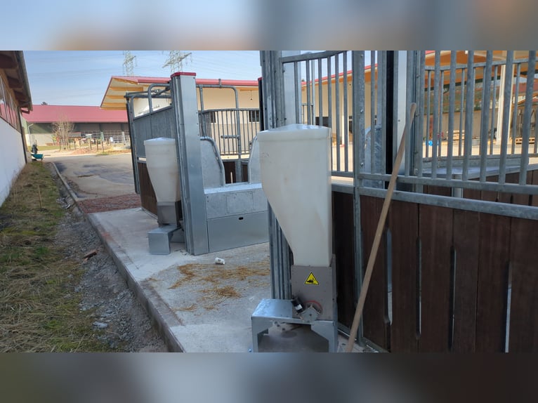 Nieuwe actieve stal mei 2026, München Oost, 2 binnenbakken