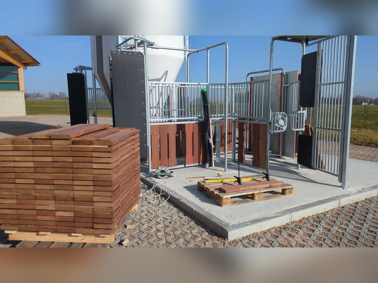 Nieuwe actieve stal mei 2026, München Oost, 2 binnenbakken