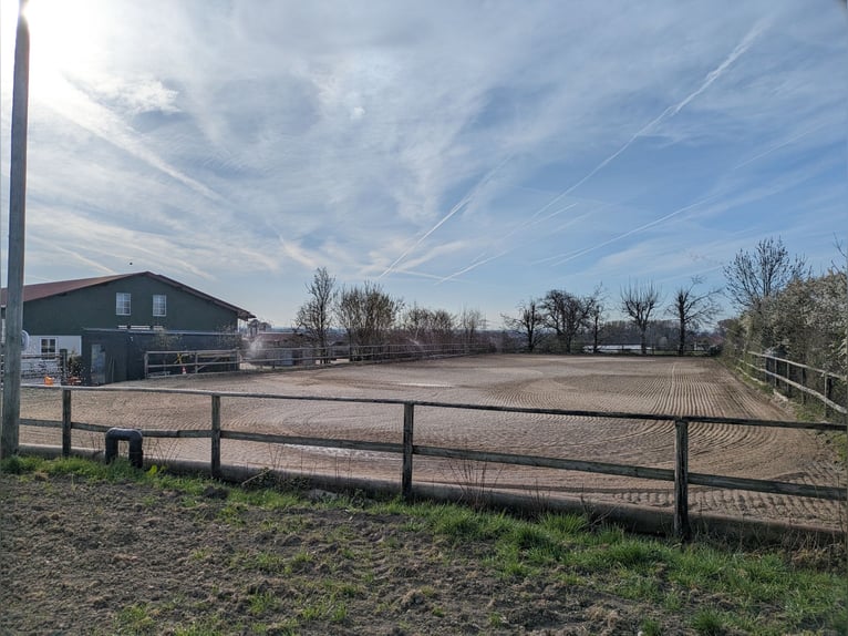 Nieuwe actieve stal mei 2026, München Oost, 2 binnenbakken