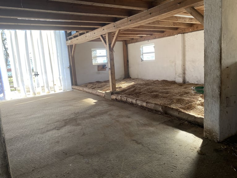 Open stabling with trail riding opportunities