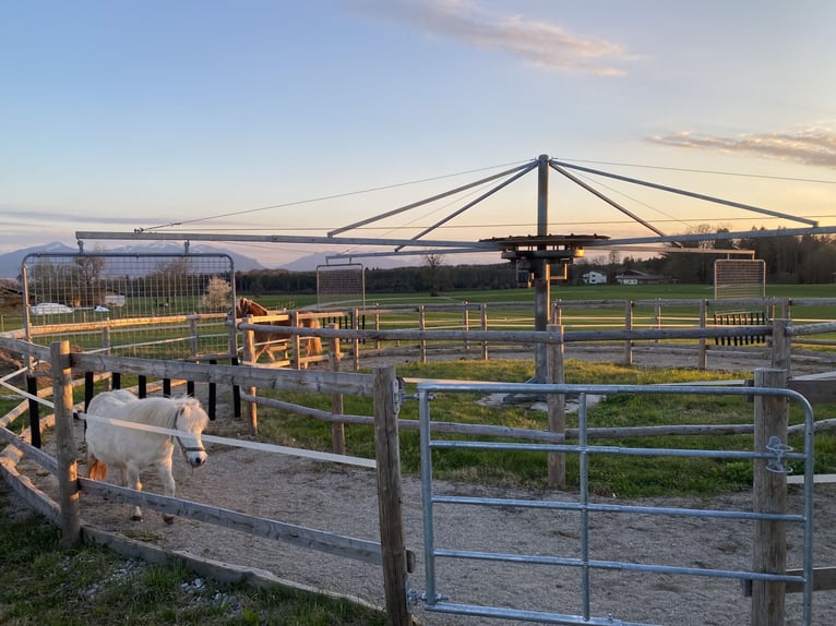 Open stabling with trail riding opportunities