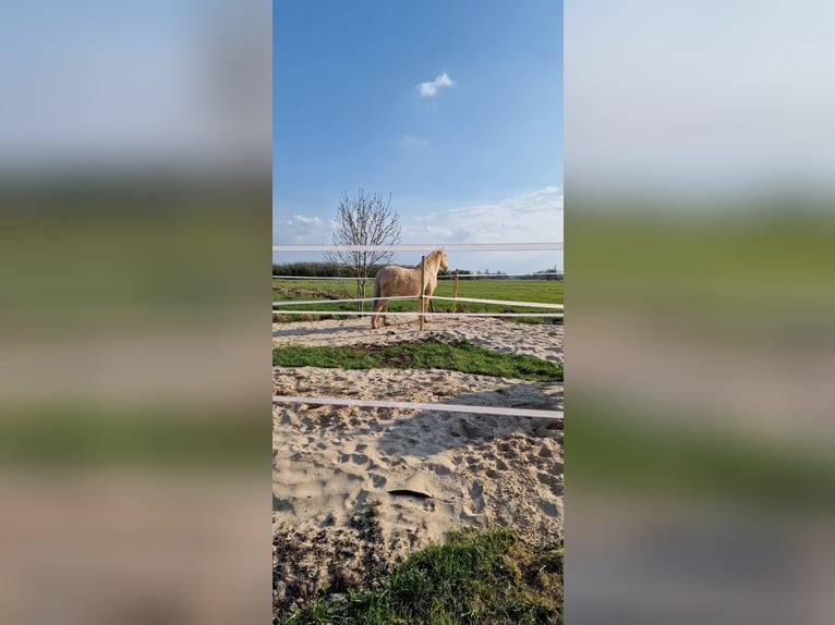 Trailplek direct aan de Noordzee
