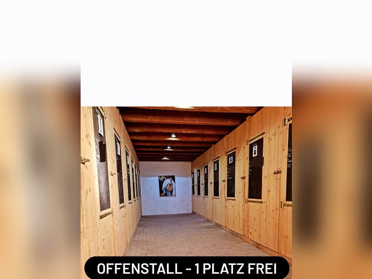 Vrije plek voor actieve stal/open stal