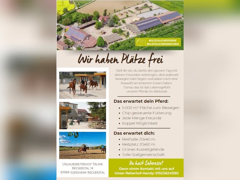 Vrije stalplaatsen beschikbaar