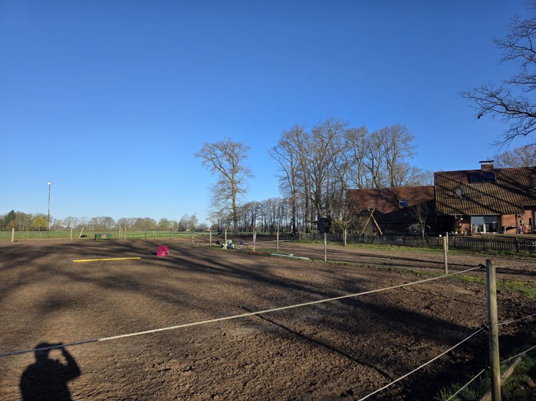 Vrijplaatsen voor open stal