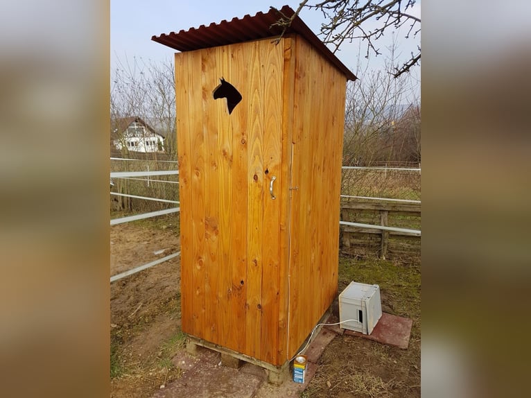 Zelfvoorzienende paddock voor verhuur voor 6 paarden, weilanden, Eltville