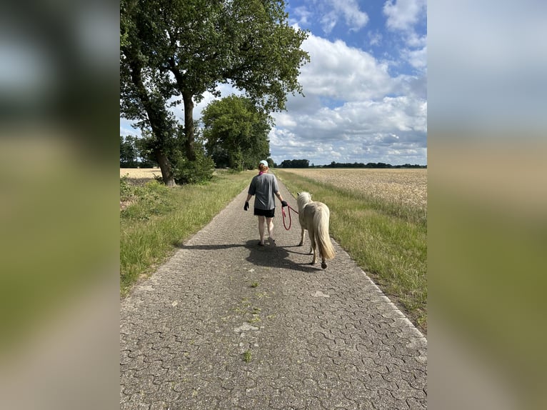 1-2 plaatsen in de open stal vrij