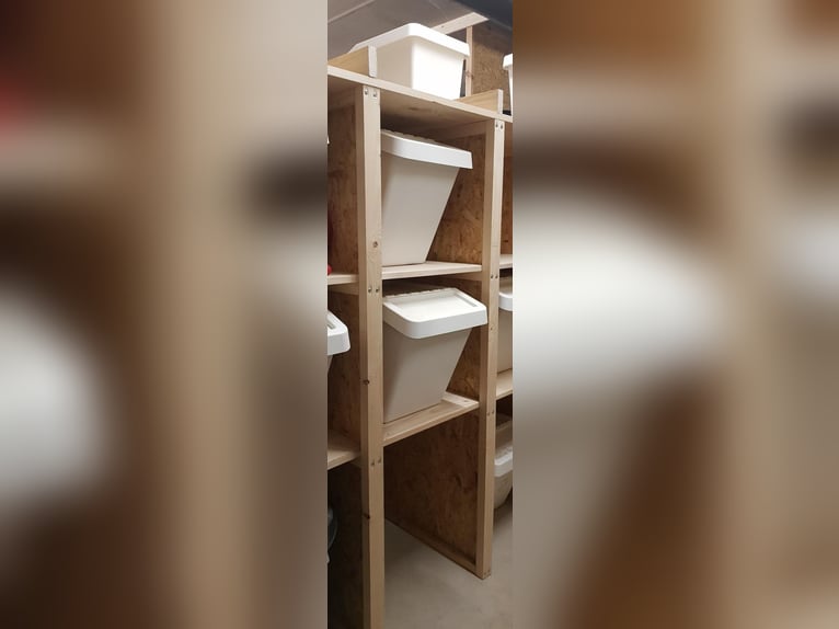 1 Offenstallplatz in Künzell ab April frei I Reithalle vorhanden