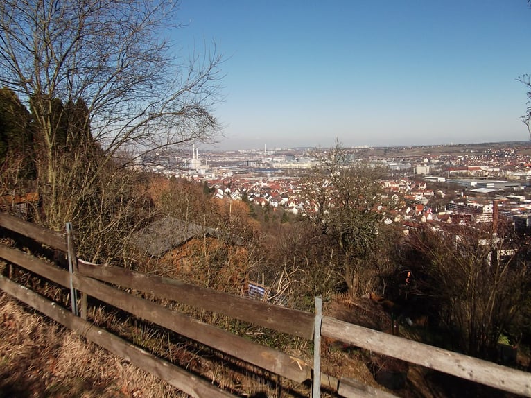 70329 Stuttgart-Hedelfingen (Alosenweg) Offenstallplatz/Weide/Unterstand für Pony oder Kleinpferd