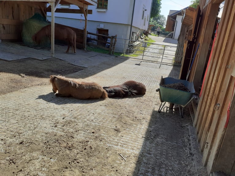 Beschikbaar stallingplaatsen