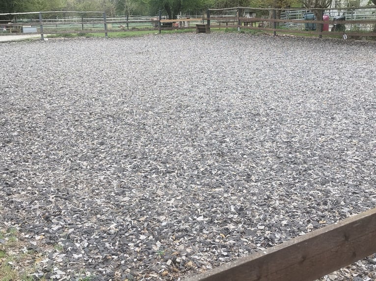 ...een plek voor jou en je (senior) paard...