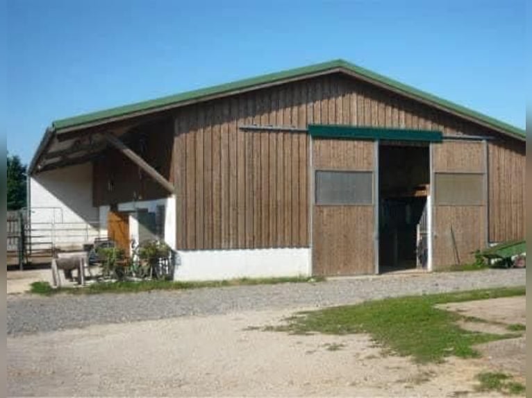 Einstellplatz im Offenstall