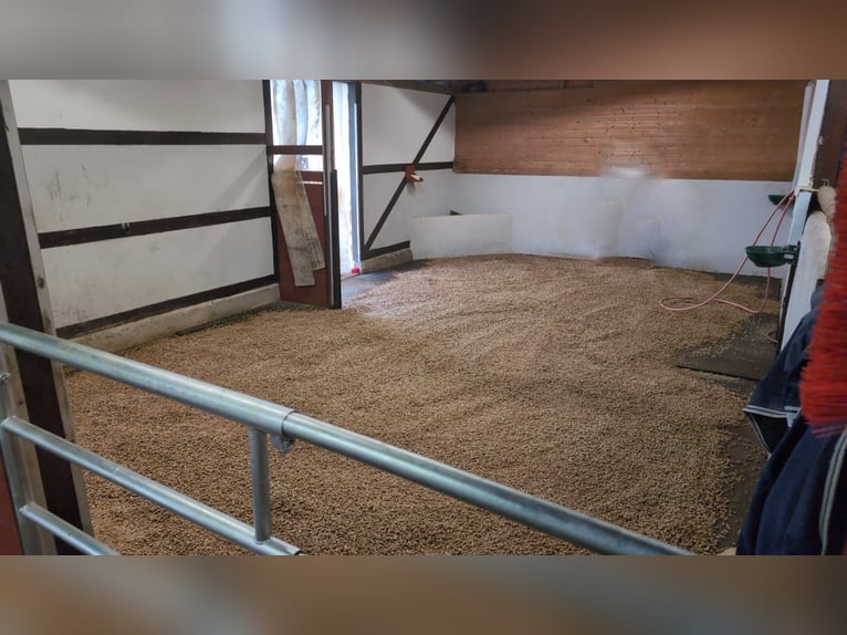 Gezinsvriendelijke open stal in een mooi Eifel-landschap, geschikt voor recreatie-, pension- en verz