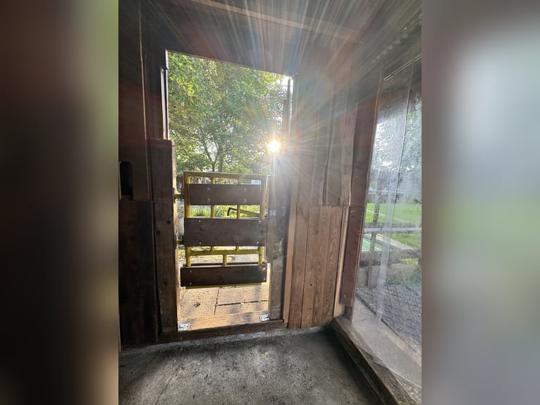Günstiger, traumhafter Einstellplatz 