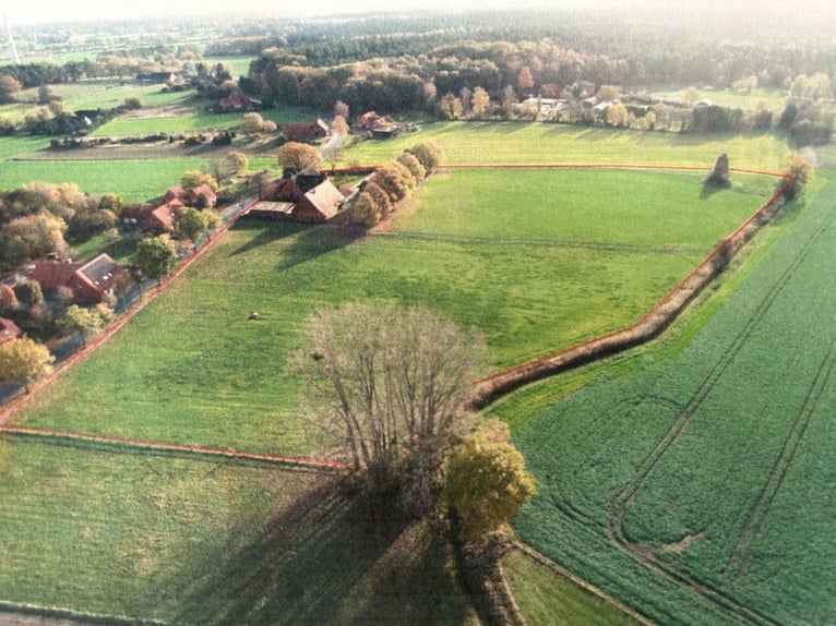 Mooie open stalplaats beschikbaar voor een allergievriendelijk paard