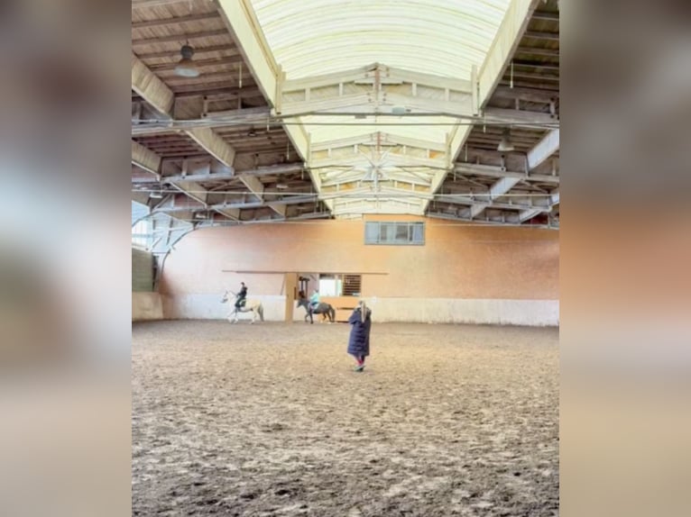 Nieuwe paddockruimte