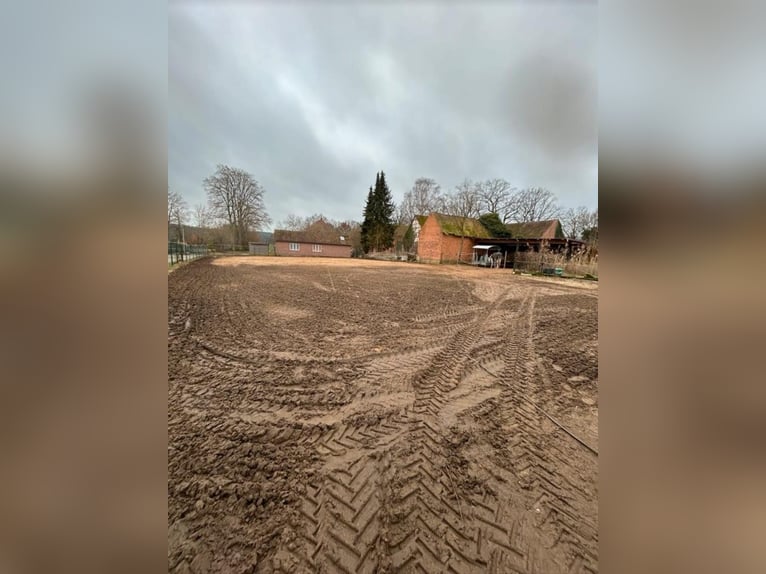 Offenstall / Box frei für Asthmatiker