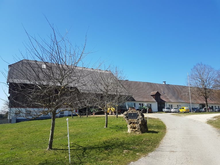 Offenstall und grosse Boxen auf idyllischem Bioland-Gutsbetrieb frei