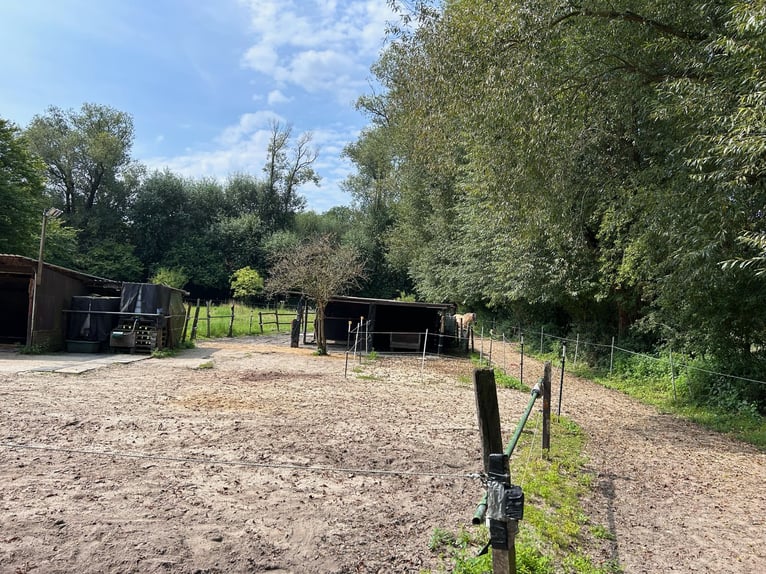 Offenstallplätze in Anderten frei, bis 1,58 m, ab Juni
