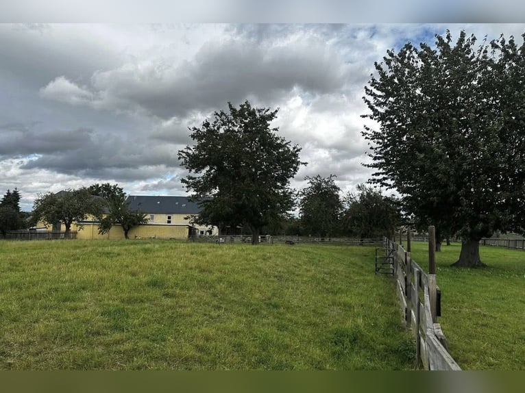 Offenstallplatz zu vergeben in familiärer Umgebung 