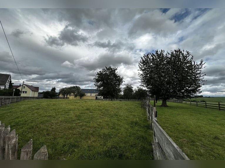 Offenstallplatz zu vergeben in familiärer Umgebung 