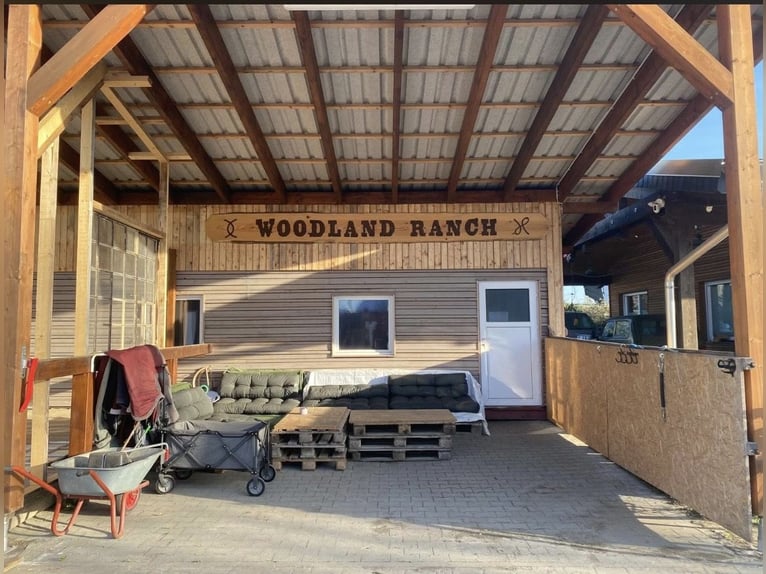 Open stable / open stable place / trail / pasture