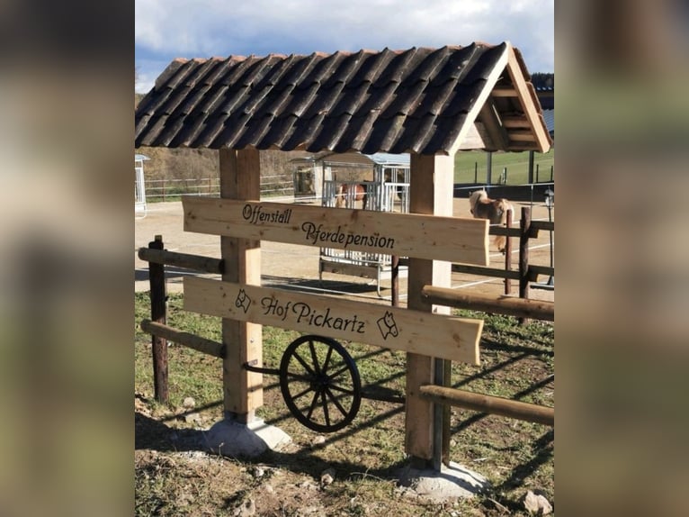 Open stables / Retired horse / Young horse paddock