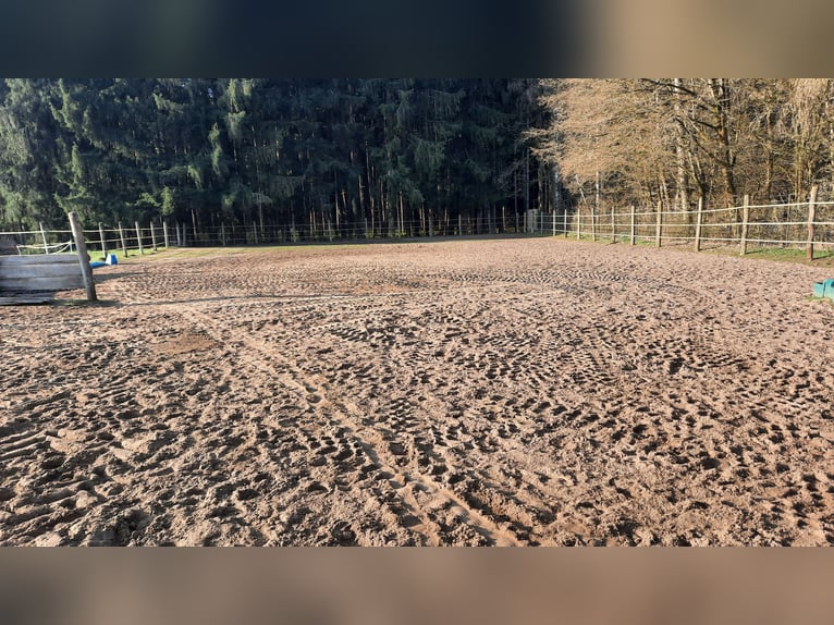 Open stabling