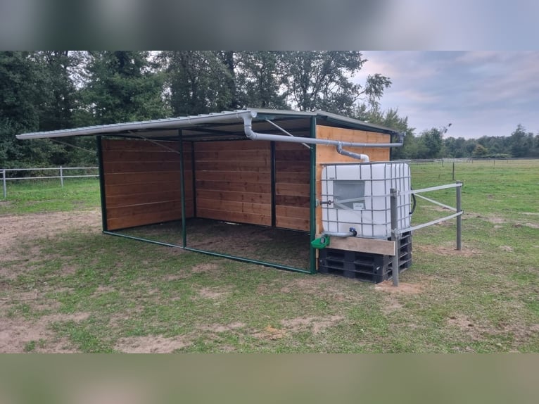 Open stal met trail in 25336 Klein Nordende