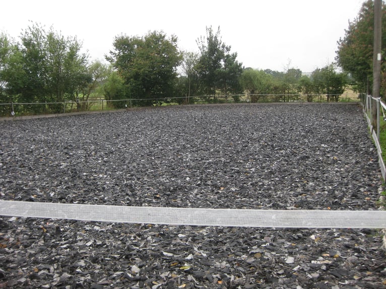 Open stal voor een brave hoefkatloose ruin beschikbaar