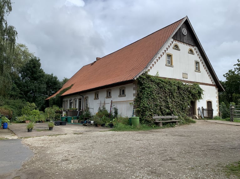 Open stal/bewegingsstal met rijbaan €235 per maand in Bad Iburg