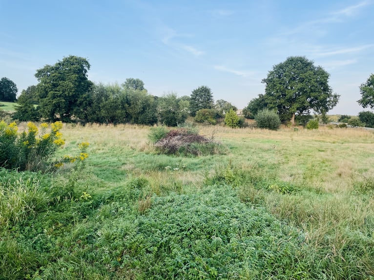 Open stalling voor zelfvoorziening