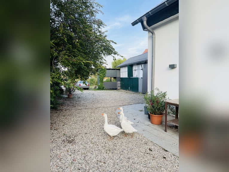 Open stalling voor zelfvoorziening