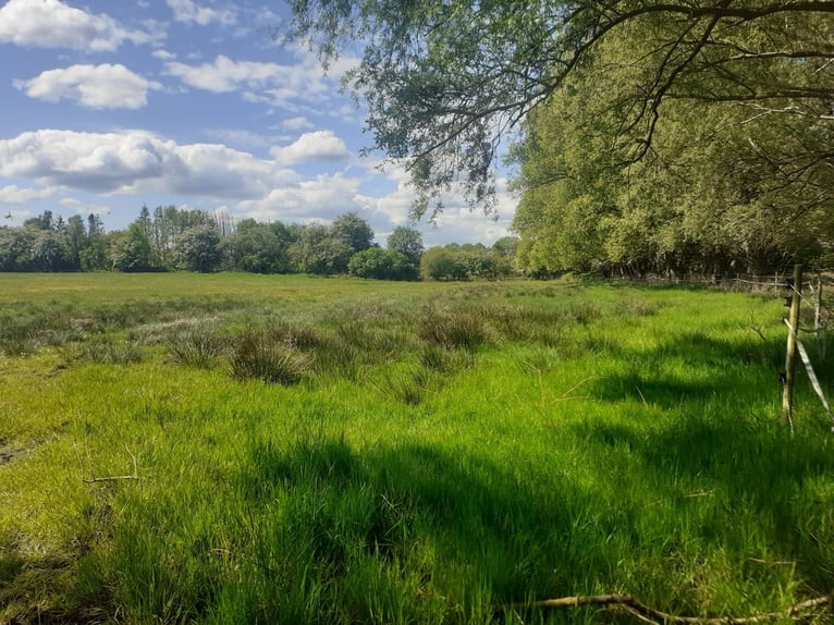 Openstalplaats in Hamburg-Duvenstedt, postcode 22397