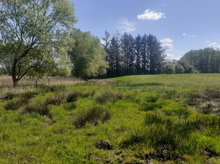 Openstalplaats in Hamburg-Duvenstedt, postcode 22397