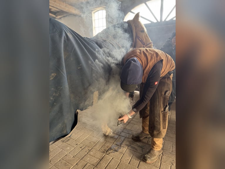 Rehaplaats direct aan de Noordzee