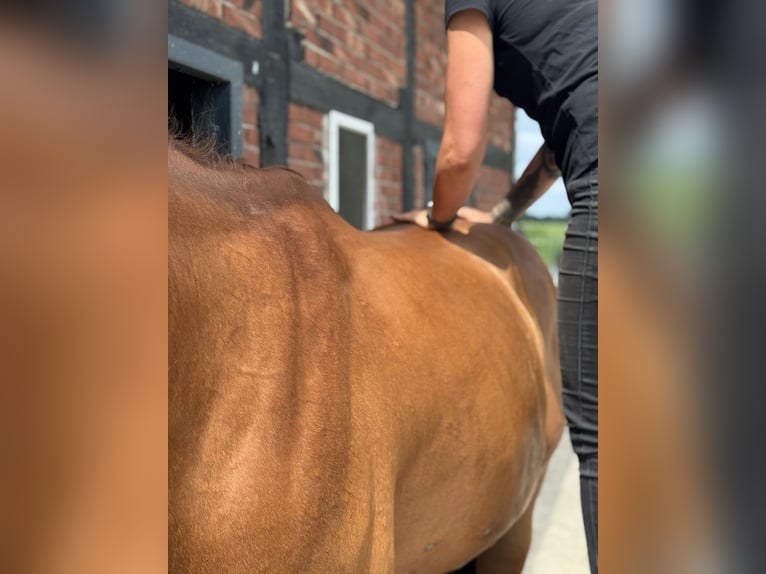 Rehaplaats direct aan de Noordzee
