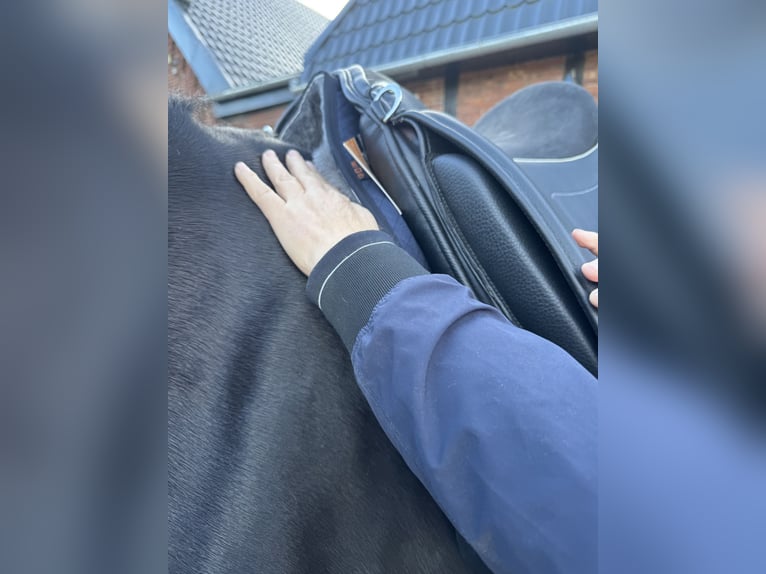 Rehaplaats direct aan de Noordzee