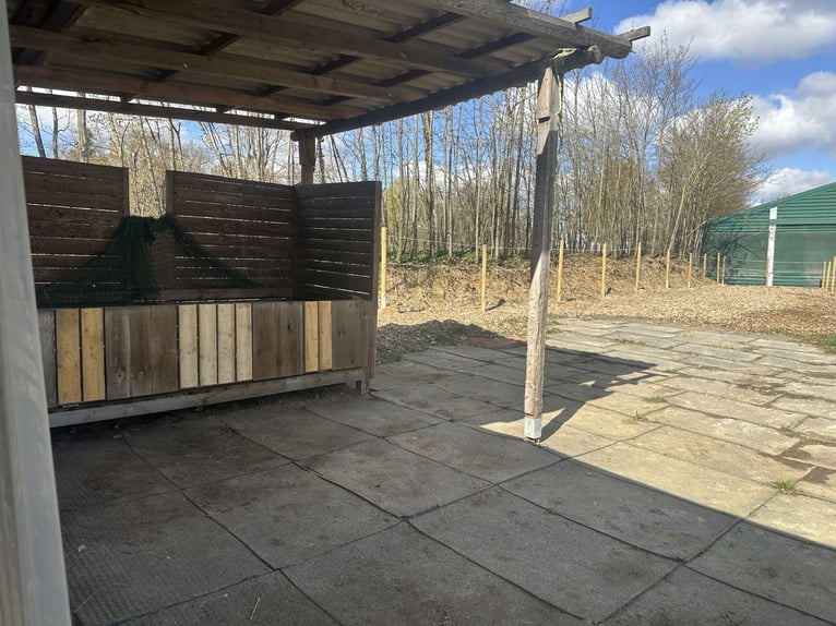 Stal en open stallen te huur aangeboden