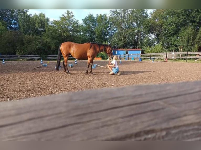 Stallingplaats voor buitenstalling
